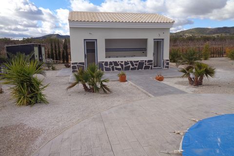 Villa i Pinoso, Alicante, Pinoso - € 332.000 | Ref: CC0545 - foto 21